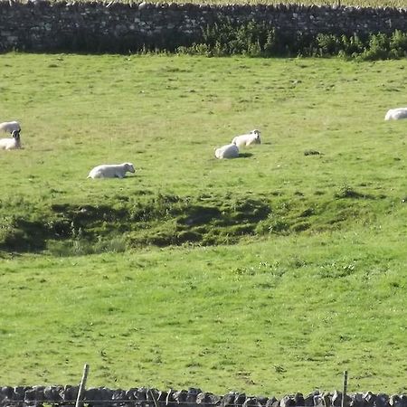 Curlew Barn Bed and Breakfast Leyburn Esterno foto