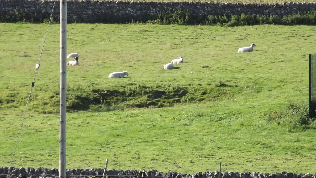 Curlew Barn Bed and Breakfast Leyburn Esterno foto