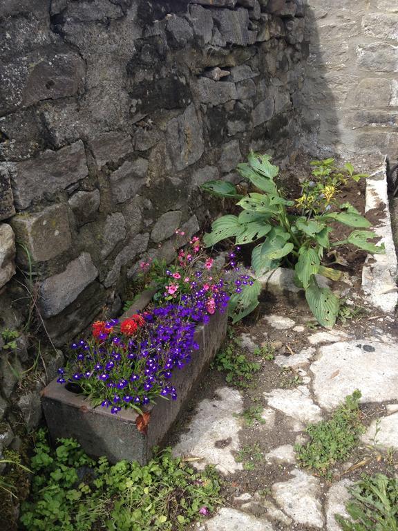 Curlew Barn Bed and Breakfast Leyburn Esterno foto