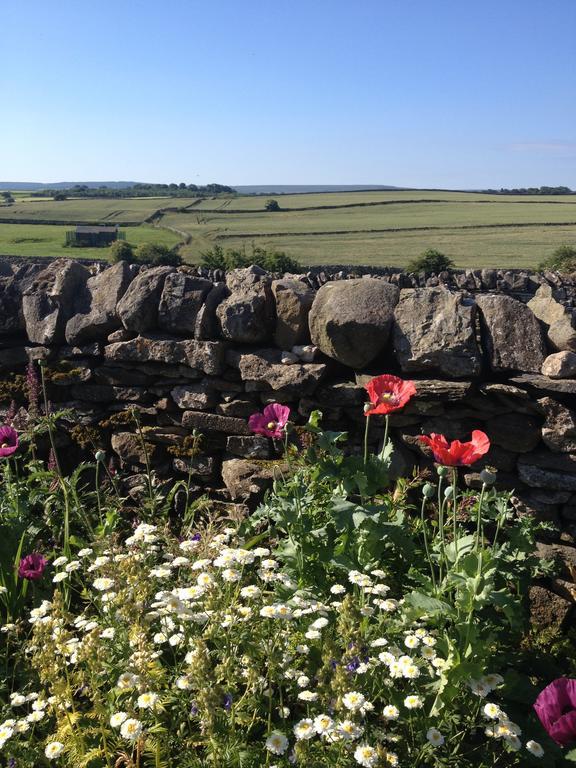Curlew Barn Bed and Breakfast Leyburn Esterno foto