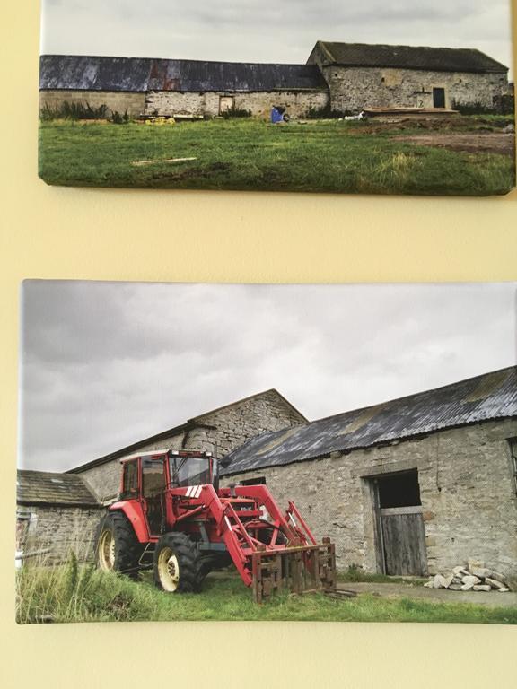 Curlew Barn Bed and Breakfast Leyburn Esterno foto
