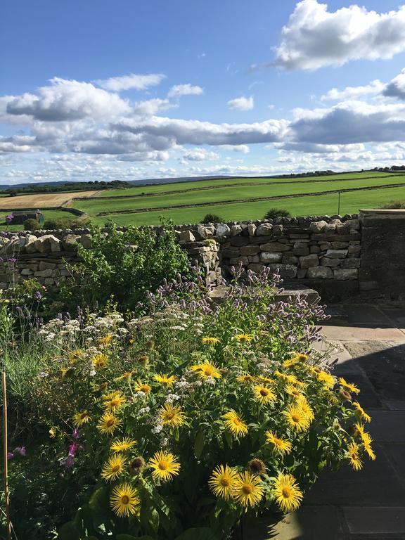 Curlew Barn Bed and Breakfast Leyburn Esterno foto